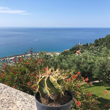 Villa Degli Ulivi B&B Finale Ligure Extérieur photo