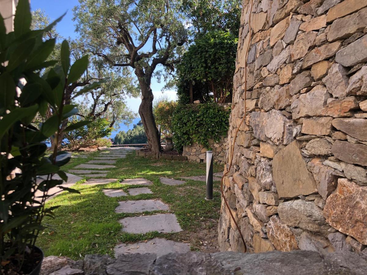 Villa Degli Ulivi B&B Finale Ligure Extérieur photo